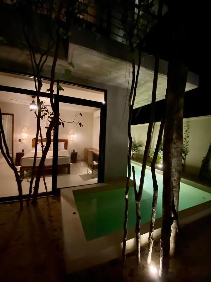 Aparthotel Acinte By Endemico Tulum Meksyk