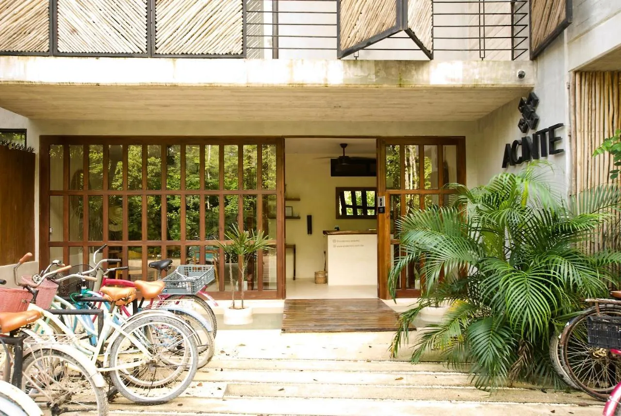 Aparthotel Acinte By Endemico Tulum